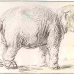 Visual Arts: At Rembrandt’s Core, The Drawings