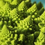 Food Muse: Resplendent Romanesco Rhapsody