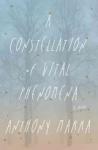 Fuse Book Review: Vital, Phenomenal — Novelist Anthony Marra's debut