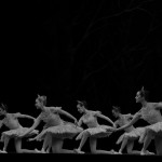 Artists of the Boston Ballet