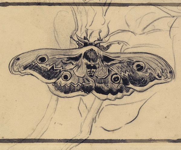 Vincent van Gogh, "Giant Peacock Moth" Drawing, Black chalk, pen, brown ink Saint-Rémy: 21-May, 1889. Photo: Courtesy of the Clark Art Institution.