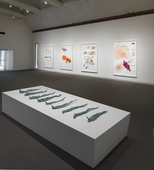 Installation view of work by Jorinde Voigt, Drawing Redefined: Roni Horn, Esther Kläs, Joëlle Tuerlinckx, Richard Tuttle, and Jorinde Voigt, deCordova Sculpture Park and Museum, Lincoln, MA, Photograph by Clements Photography and Design, Boston.