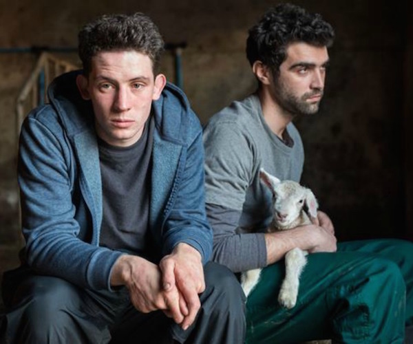 Josh O'Connor and Gheorghe Ionescu in "God's Own Country." 