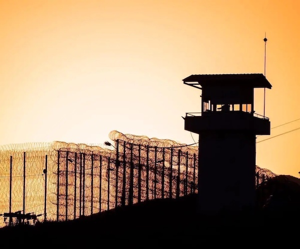 Book Review: Imagining a World Beyond Prisons - Anna Terwiel’s "Prison Abolition for Realists" - The Arts Fuse