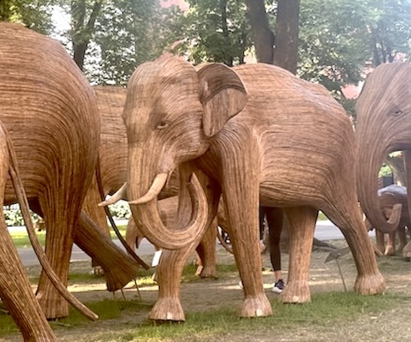 The Great Elephant Migration X by Mark Favermann