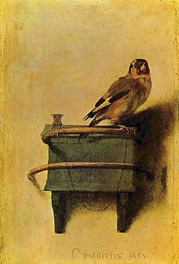 Carel Fabritius -- "The Goldfinch."