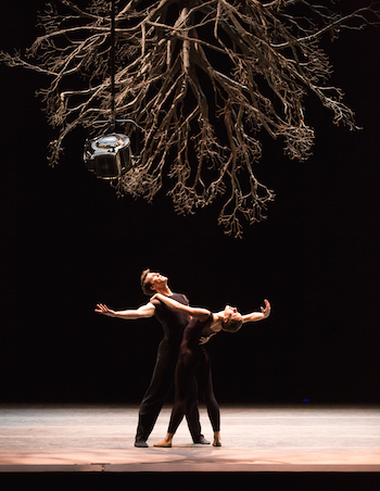 Rachele Burlassi and Roddy Doble in Jiří Kylián's Wings of Wax; photo by Rosalie O'Connor, courtesy Boston Ballet.