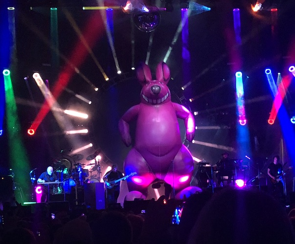 Rock Concert Review: The Australian Pink Floyd Show - A Very Tribute - The Arts Fuse